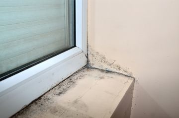 Mold removal by Atlas Envirocare & Abatement Services LLC