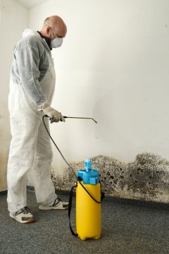 Forest Heights Mold Removal Prices by Atlas Envirocare & Abatement Services LLC