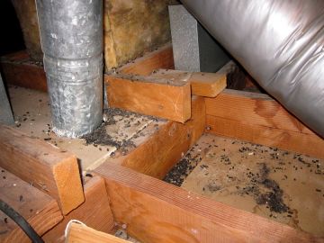 Crawl Space Restoration in Accokeek, Maryland