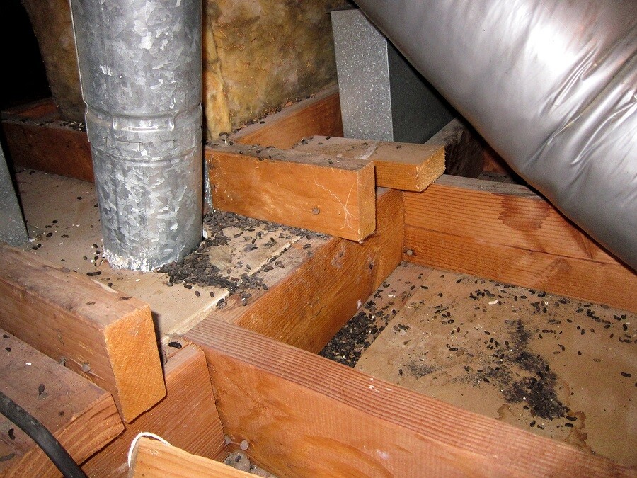 Crawl Space Restoration by Atlas Envirocare & Abatement Services LLC