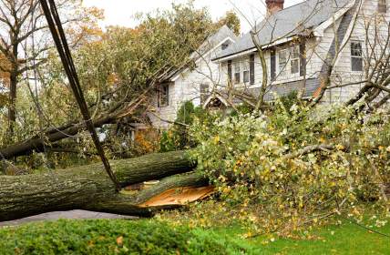 Storm damage restoration in Fort Washington by Atlas Envirocare & Abatement Services LLC